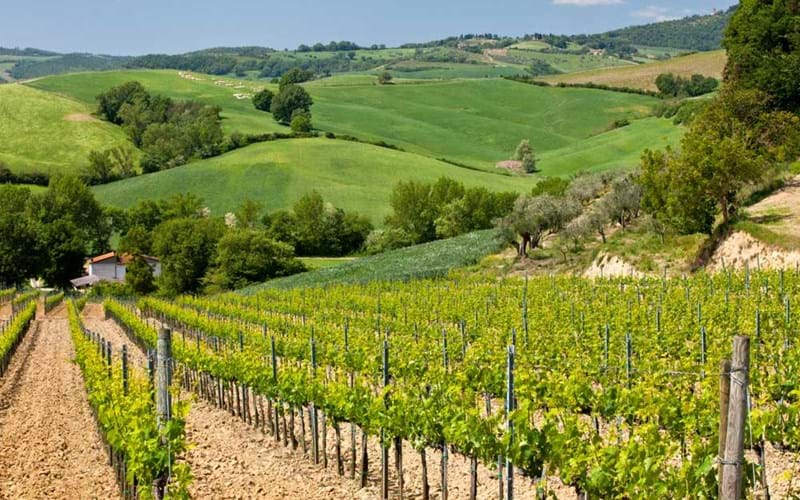 Enjoy-escorted-holidays-to-Tuscany